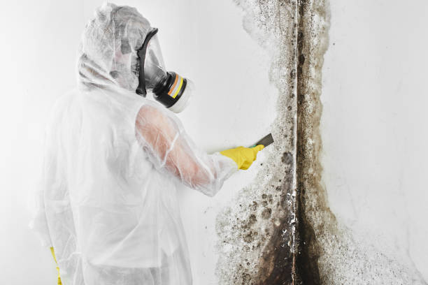 Water Damage Restoration in Fair Plain, MI