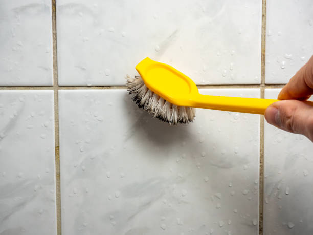 Best Toxic Mold Removal  in Fair Plain, MI