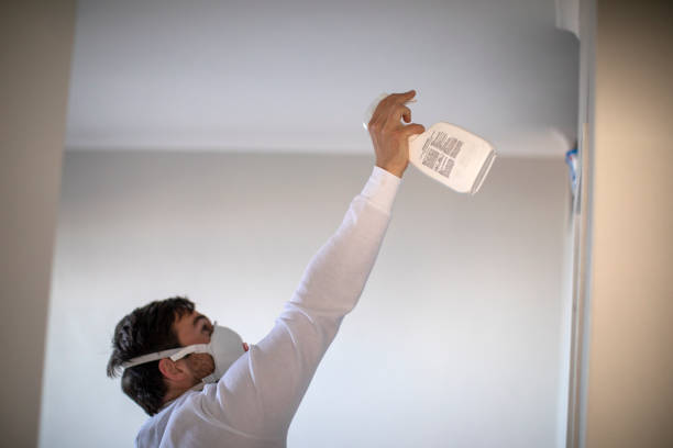 Best Emergency Mold Removal  in Fair Plain, MI