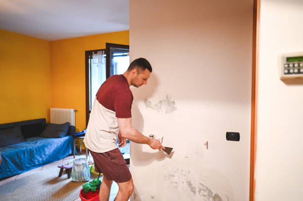 Best Professional Mold Removal  in Fair Plain, MI